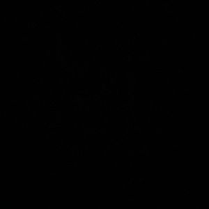 Meet your Posher, Hanna